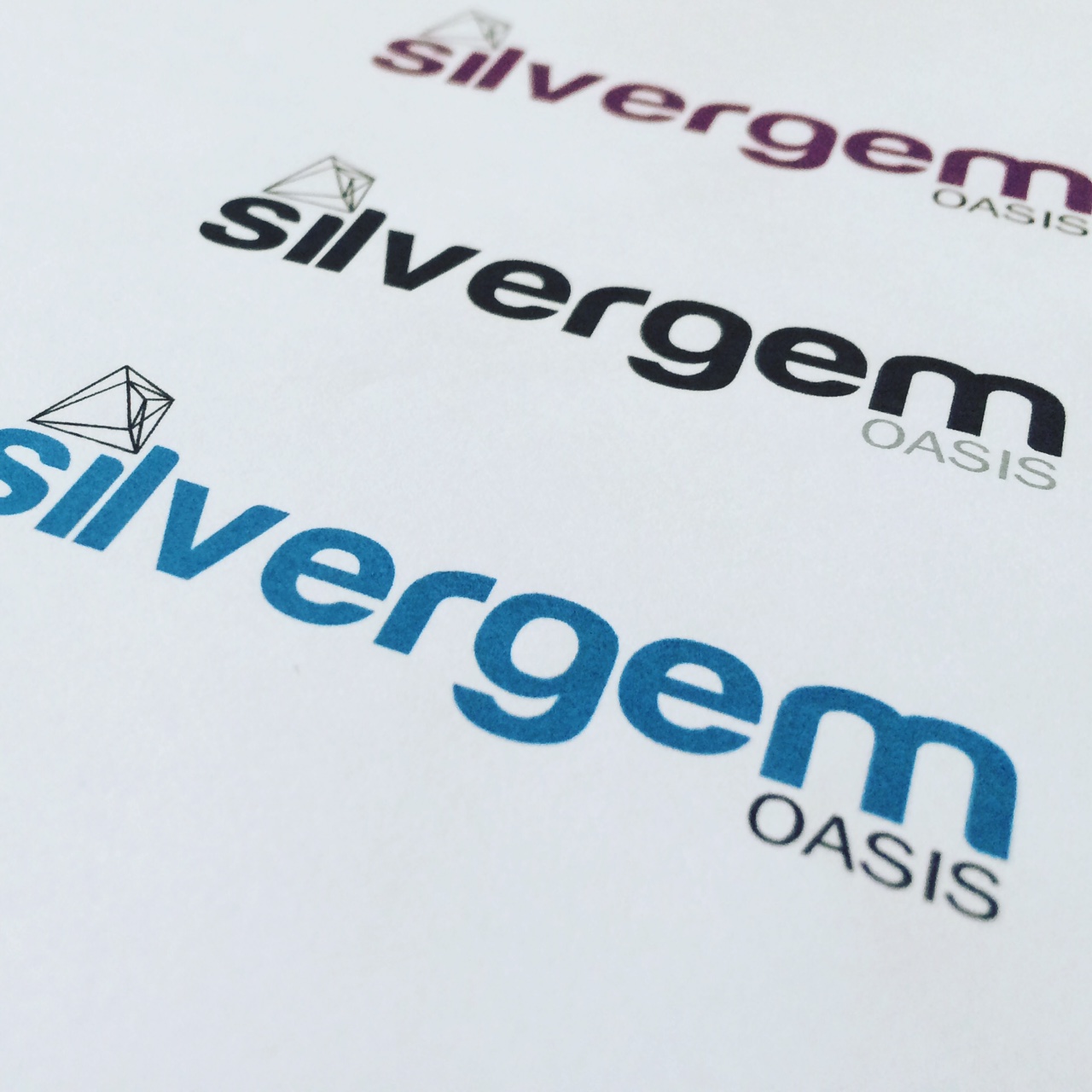 Silver Gem Oasis Logo