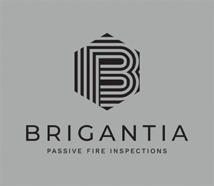 Brigantia Fire Ltd