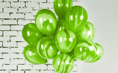 Studio73 Turns Seven