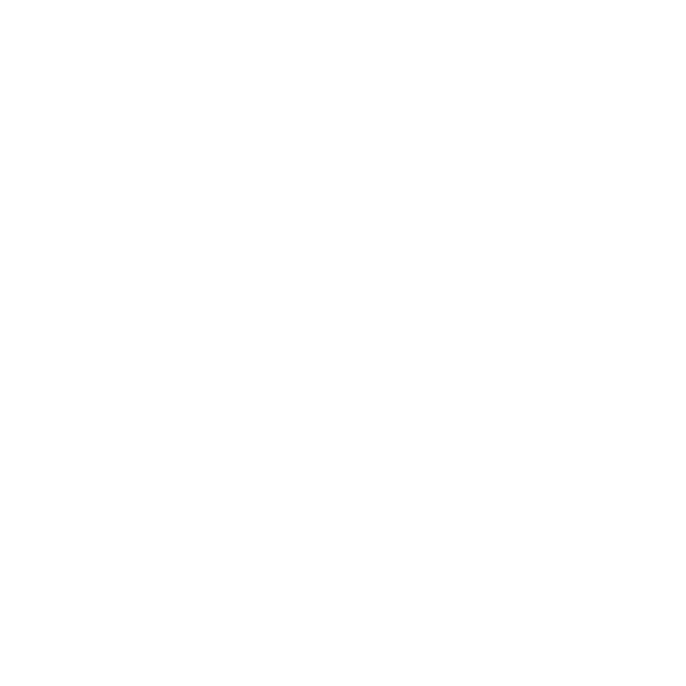 WordPress Developer