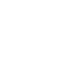 Squarespace Circle Silver Partner