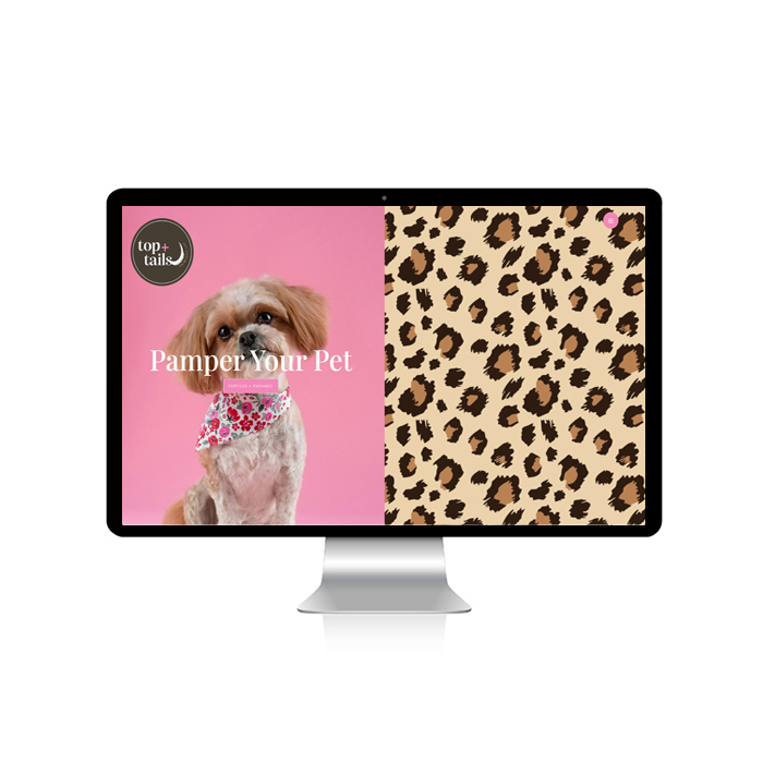 ttweb_700 Top and Tails Website Design